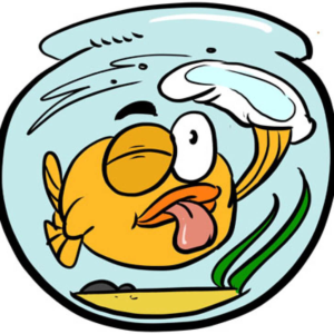 Community, Recourses, Discussion and E-Learning for Owners of Aquarium Maintenance Service Companies